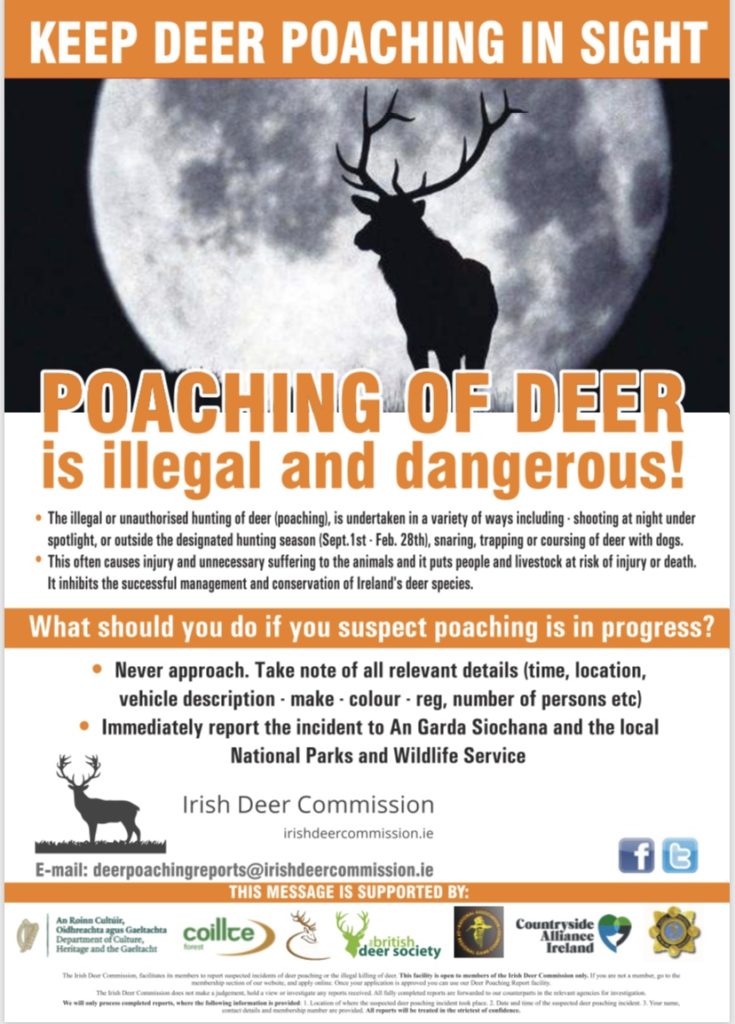 How to Report Suspected Deer Poaching Incidents Irish Deer Commission