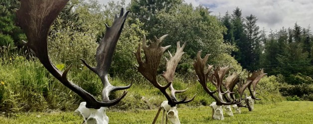 Application Forms for the 2022/2023 Open Deer Season